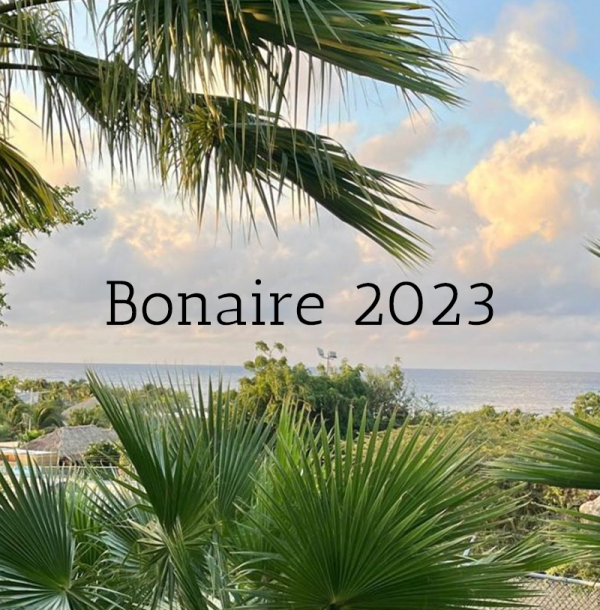 Bonaire training 